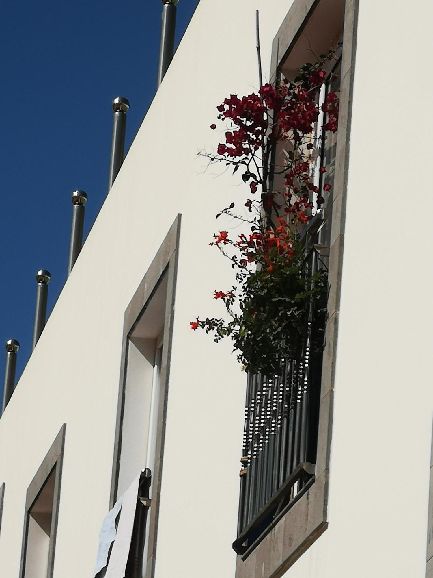 Puerto De Mogan Sonneland Apartment Bagian luar foto